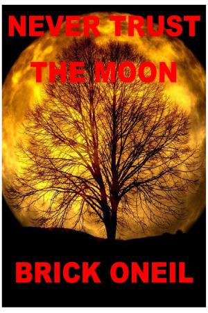 Cover of the book Never Trust The Moon by P.J. Rake
