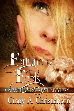 Book cover of Fortune for Fools: A Merchant Street Mystery, Book 3