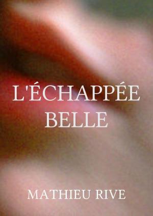 Cover of the book L'échappée belle by Jean-Hugues Oppel