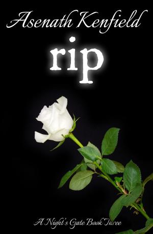 Cover of the book Rip (Night's Gate Series, Book 3) by Ally Adair