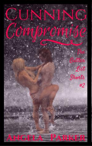 Cover of the book Cunning Compromise by Angela Parker