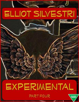 Cover of the book Experimental Part Four by Marina Di Domenico