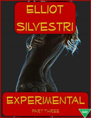 Cover of the book Experimental Part Three by Giacomo Casanova