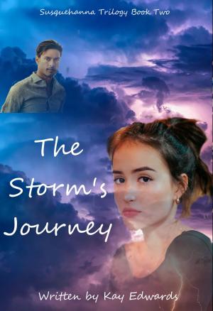 Cover of the book The Storm's Journey by Danielle Lee Zwissler