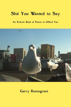 Cover of the book Shit You Wanted to Say by A. E. Lucky