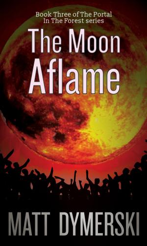Cover of the book The Moon Aflame by David Wellington
