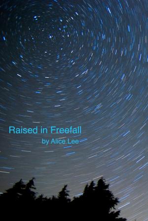 Cover of the book Raised in Freefall by J. Bango