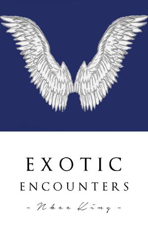 Cover of the book Exotic Encounters by Sébastien Bourbon