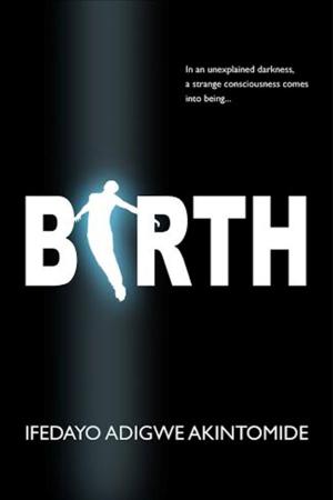 bigCover of the book Birth by 