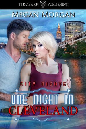 Cover of the book One Night in Cleveland by Domhnall O'Donoghue