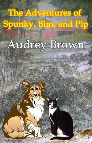 Cover of the book The Adventures of Spunky, Bim, and Pip by Mary Elizabeth Braddon