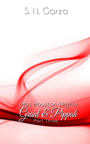Cover of Hot Houston Nights: Grant & Pippah PART 3