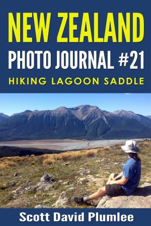 Cover of the book New Zealand Photo Journal #21: Hiking Lagoon Saddle by Scott David Plumlee