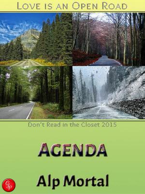 Cover of the book Agenda by Nancy E. Shaffer