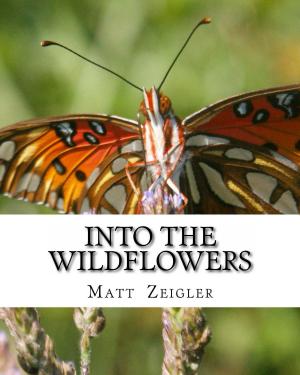 Book cover of Into The Wildflowers