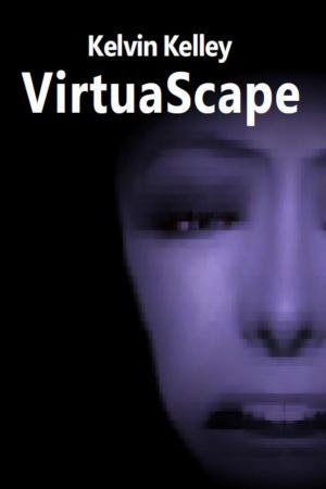 Cover of the book VirtuaScape by H K Hillman