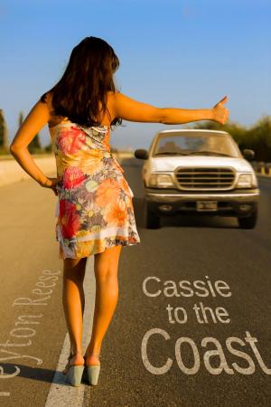 Cover of the book Cassie to the Coast by Clara Wintersnow
