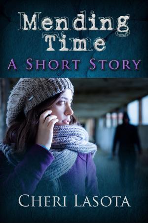 Cover of the book Mending Time by Danielle Kennedy