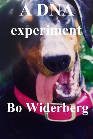 bigCover of the book A DNA Experiment by 