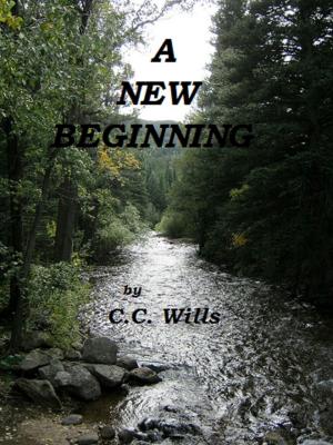 Cover of the book A New Beginning by C.C. Wills