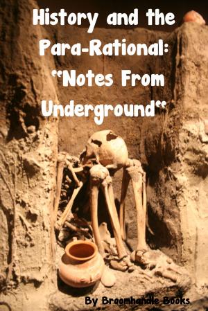 Cover of the book History and the Para-Rational: "Notes From Underground" by Pu Songling