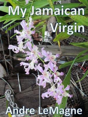 Cover of the book My Jamaican Virgin by Corinna Parr