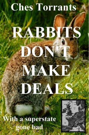 Cover of the book Rabbits Don't Make Deals by R.J. Jagger.