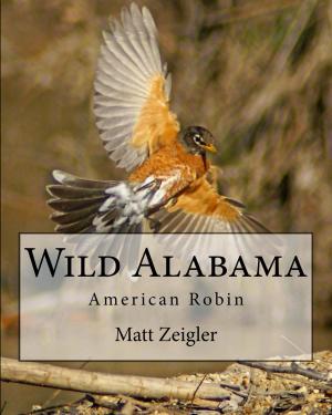 Book cover of Wild Alabama: American Robin