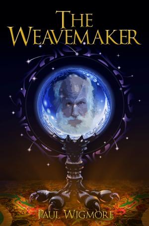 Cover of the book The Weavemaker by Melissa McShane