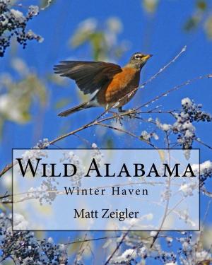Book cover of Wild Alabama: Winter Haven