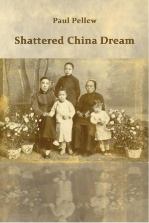 Cover of Shattered China Dream