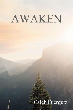 Cover of the book Awaken by KrishnHans Rau