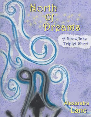 Cover of North of Dreams (Tales of North #3 - A Snowflake Triplet Short)