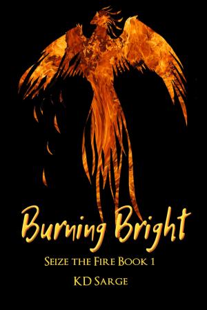 Cover of the book Burning Bright by Kimber Grey