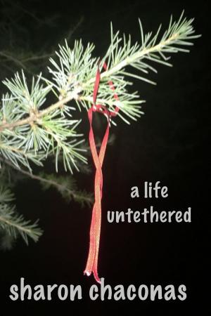Cover of the book A Life Untethered by Tim Stutler