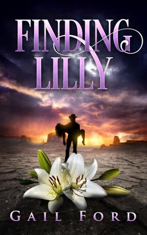 Cover of the book Finding Lilly by R. T. W. Lipkin
