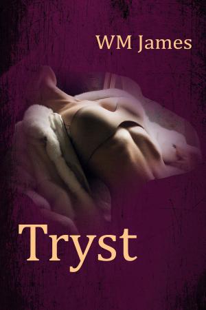 Cover of the book Tryst by D.E. Stevenson, Víctor Gallego Ballestero