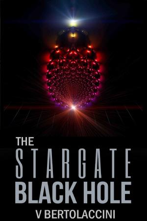 Cover of the book The Stargate Black Hole X3 by V Bertolaccini