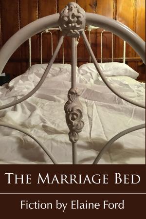 Book cover of The Marriage Bed