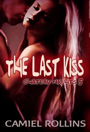Cover of the book The Last Kiss: Chateau Nights 5 by Gail Ranstrom