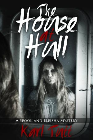 Cover of The House at Hull