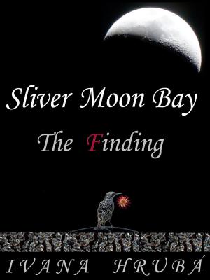 Cover of the book Sliver Moon Bay: The Finding by Johnny Delca