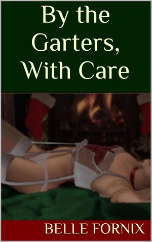 Book cover of By the Garters, With Care