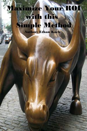 Cover of the book Maximize Your ROI With This Simple Method by Donald G Boudreau
