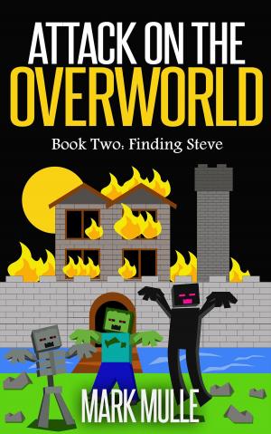 Cover of the book Attack on the Overworld, Book Two: Finding Steve by D.C. Chagnon