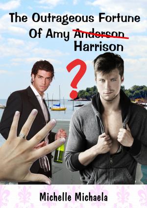 Book cover of The Outrageous Fortune of Amy Harrison