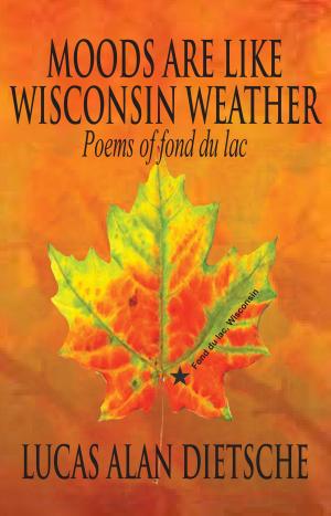 Book cover of Moods Are Like Wisconsin Weather poems of Fond Du Lac