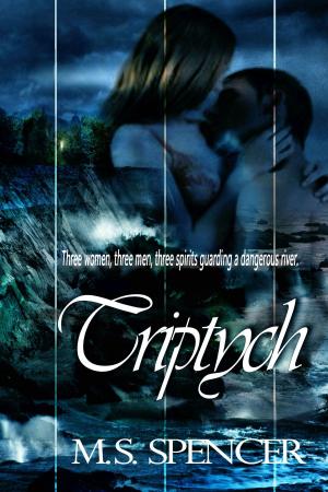 Cover of the book Triptych by B.A. Knight