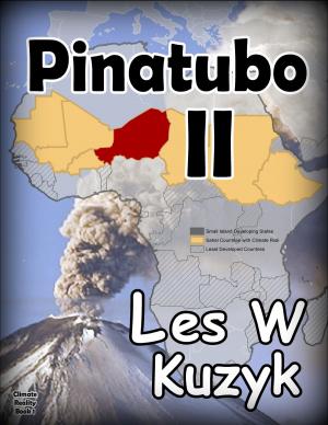 Cover of the book Pinatubo II by TP Hogan
