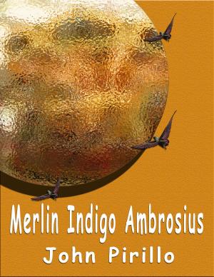 Book cover of Merlin Indigo Ambrosius